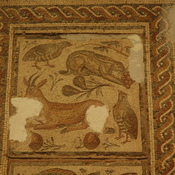 Dar Buc Ammera, Four season mosaic, Animals