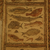 Dar Buc Ammera, Four season mosaic, Fish