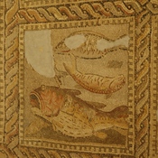 Lepcis Magna, Villa of the Orpheus Mosaic, Fish