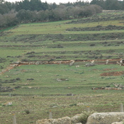 Cyrene, Uptown, Recent excavations