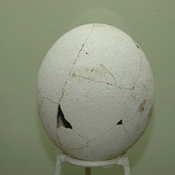 Lepcis Magna, egg