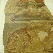 Ptolemais, Palace of the Columns, Mosaic of fish