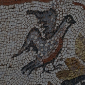 Heraclea Lyncestis, Large basilica, Narthex, Mosaic, Bird