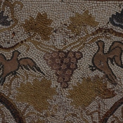 Heraclea Lyncestis, Large basilica, Narthex, Mosaic, Birds