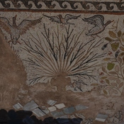 Heraclea Lyncestis, Large basilica, Narthex, Mosaic, Birds