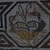 Heraclea Lyncestis, Large basilica, Narthex, Mosaic boundary, Ducks