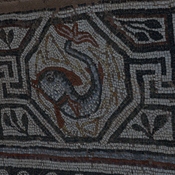 Heraclea Lyncestis, Large basilica, Narthex, Mosaic boundary, Dolphin