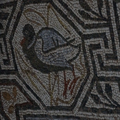 Heraclea Lyncestis, Large basilica, Narthex, Mosaic boundary, Duck