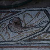 Heraclea Lyncestis, Large basilica, Narthex, Mosaic boundary, Fish