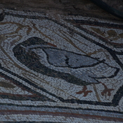 Heraclea Lyncestis, Large basilica, Narthex, Mosaic boundary, Duck