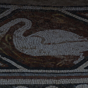 Heraclea Lyncestis, Large basilica, Narthex, Mosaic boundary, Bird