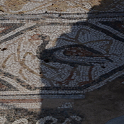 Heraclea Lyncestis, Large basilica, Narthex, Mosaic boundary, Bird