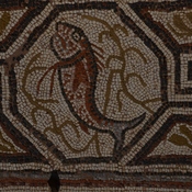 Heraclea Lyncestis, Large basilica, Narthex, Mosaic boundary, Fish