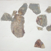 Fragments of a wall painting