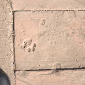 Viminacium, Tile with a cats' paw