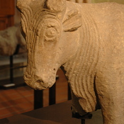 Osuna, Terracotta ox, detail