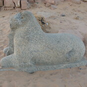 Gebel Barkal, Temple of Amun, Statue of a ram