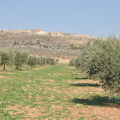 Cyrrhus, Remains of citadel