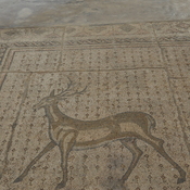 Apamea, Mosaic presenting Thetis