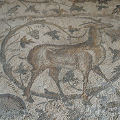 Apamea, Mosaic showing animals and trees