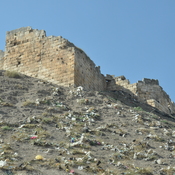 Apamea, Citadel