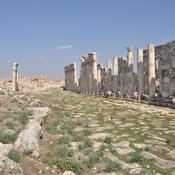 Apamea, Remains of the colonnaded street with north gate