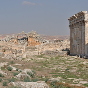 Apamea, Remains of the colonnaded street, corinthian capital