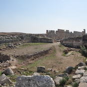 Apamea, Reconstruction of colonnade