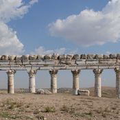 Apamea, Colonnaded street with distorded columns