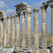 Apamea, Colonnaded street with distorded columns