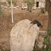 Damascus,  Remains of a column in the via recta (decumanus)