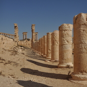 Palmyra, Agora
