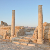 Palmyra, Remains of patrician houses