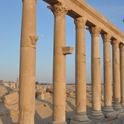 Palmyra, Colonnaded street