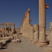 Palmyra, Colonnaded street with arch