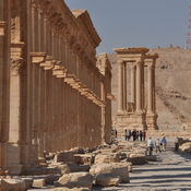 Palmyra, Colonnaded street  with two arches