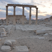 Palmyra, caesareum