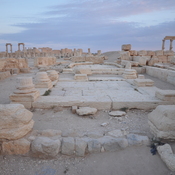 Palmyra, Remains of the senate