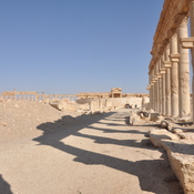 Palmyra, Remains of Diocletian camp