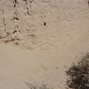 Toprak Kale, Wall of the Chorasmian fortress
