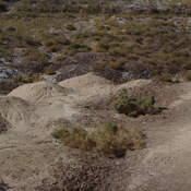 Toprak Kale, Wall of the Chorasmian fortress
