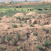 Talashkan Tepe, Remains of a Bactrian village
