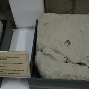 Afrosiab Hill, Uncooked brick with marks from the fortress wall