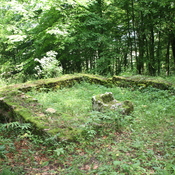 Fanum gallo-romain de Pupillin