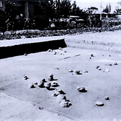 Urnfield of Acemhöyük Arıbaş Cemetery