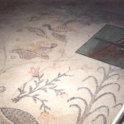 Heptageon -  floor mosaic