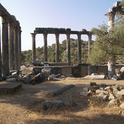 Temple of Zeus, Euromos