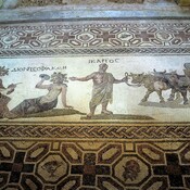 House of Dionysos; floor mosaic