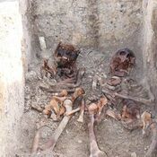 Two skeletons from Kronstorf burial of 4th century