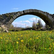 Roman Bridge